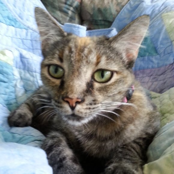 Meet your Posher, Kelly and her supurrrrrvisor! - Picture 1 of 2